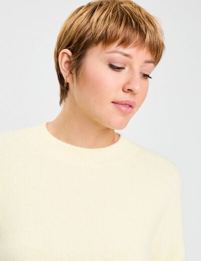 Pull col rond jaune clair femme