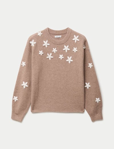 Pull oversize brod&eacute; manches longues beige femme
