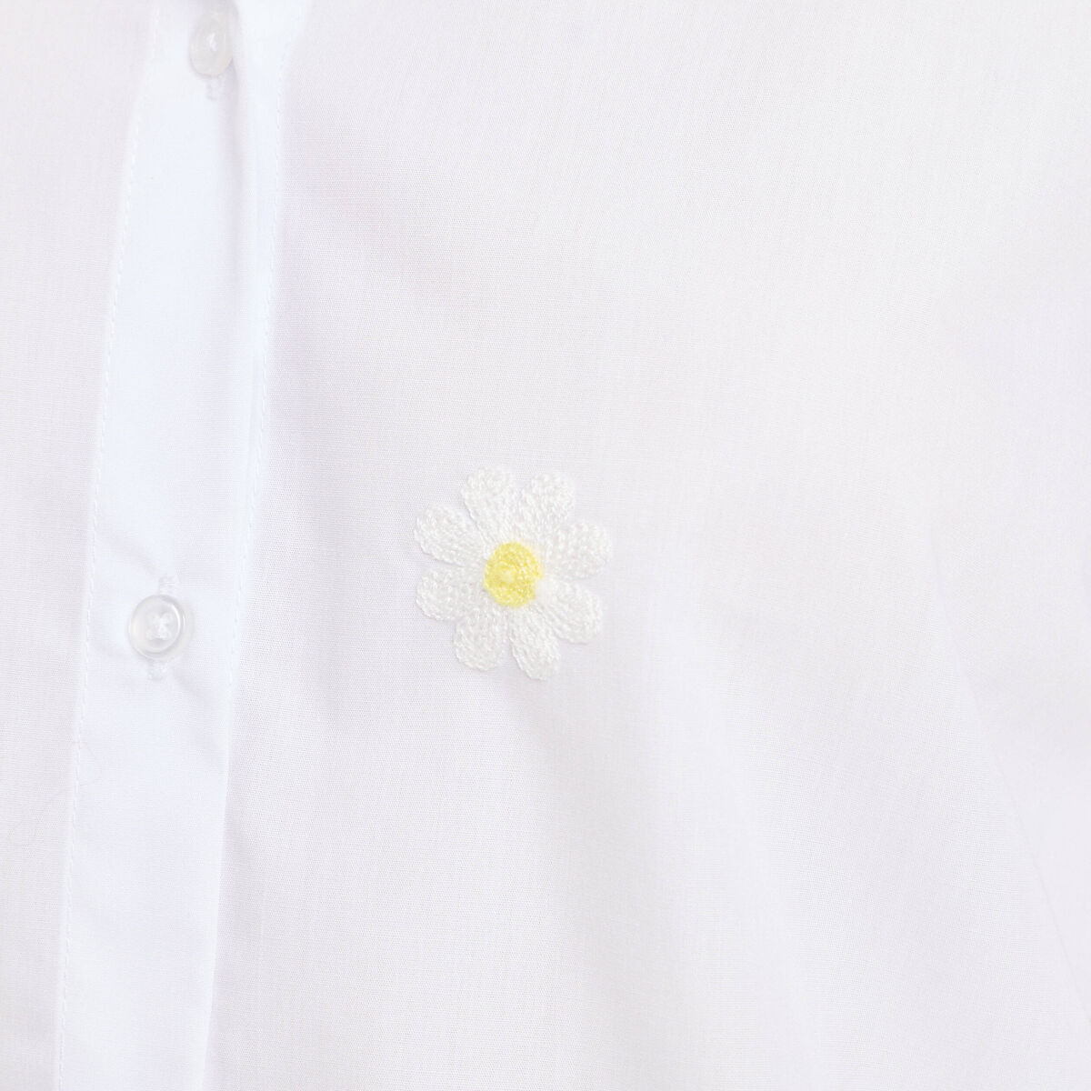 Chemise droite courte col classique blanc femme