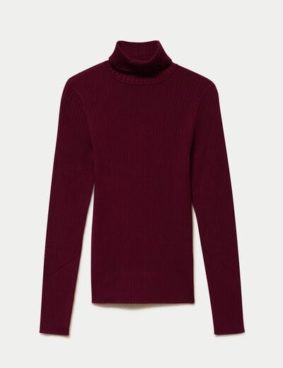 Pull c&ocirc;tel&eacute; col roul&eacute; bordeaux femme