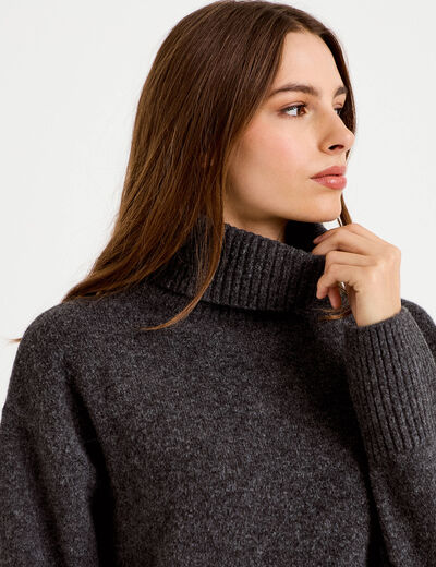 Pull col roul&eacute; manches longues gris femme