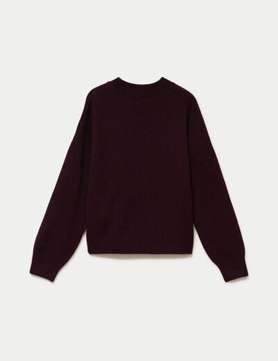 Pull col rond prune femme