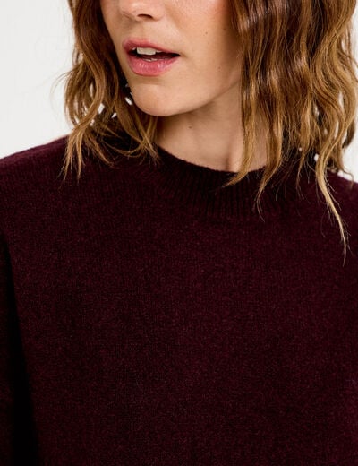 Pull col rond prune femme