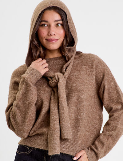 Pull &agrave; capuche manches longues marron clair femme
