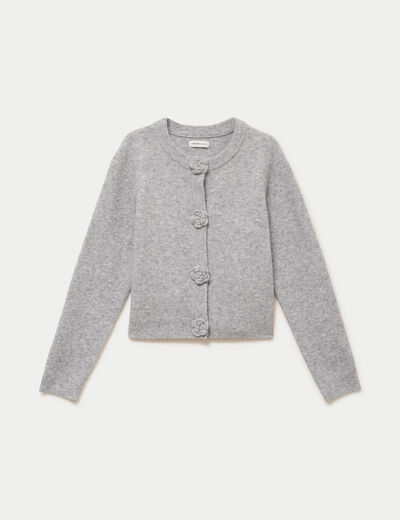 Gilet manches longues col rond gris clair femme