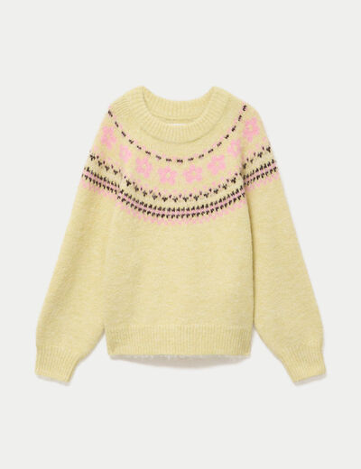 Pull col rond manches longues jaune clair femme