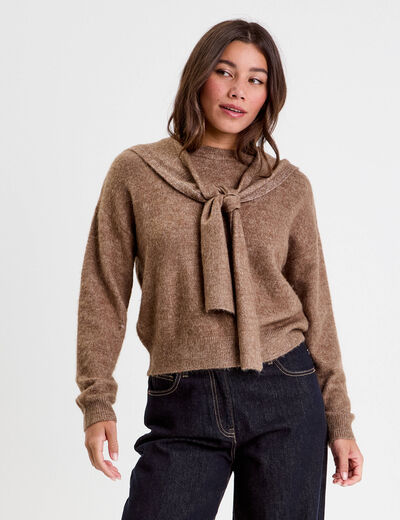 Pull &agrave; capuche manches longues marron clair femme