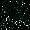 Short flare &agrave; sequins brillants vert fonc&eacute; femme