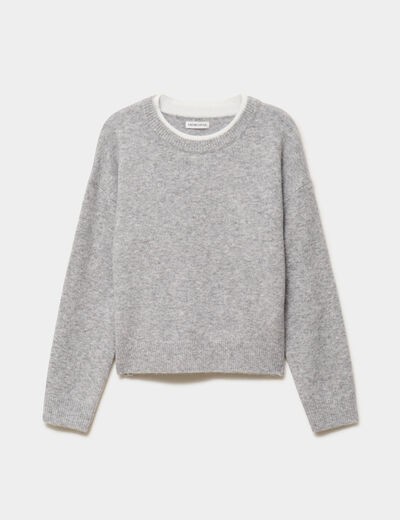 Pull col rond manches longues gris clair femme