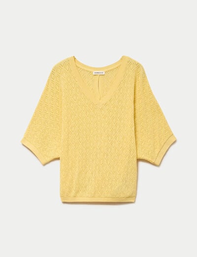 Pull ajour&eacute; col v manches courtes jaune pastel femme
