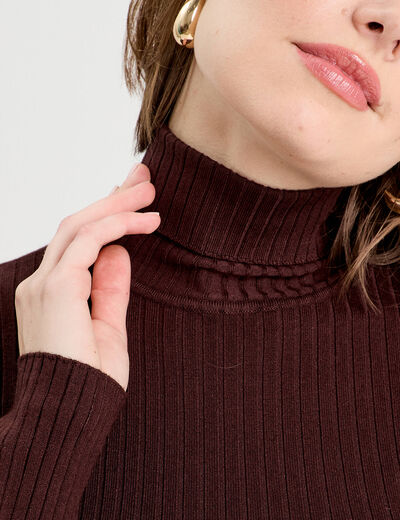 Pull c&ocirc;tel&eacute; col roul&eacute; marron fonc&eacute; femme
