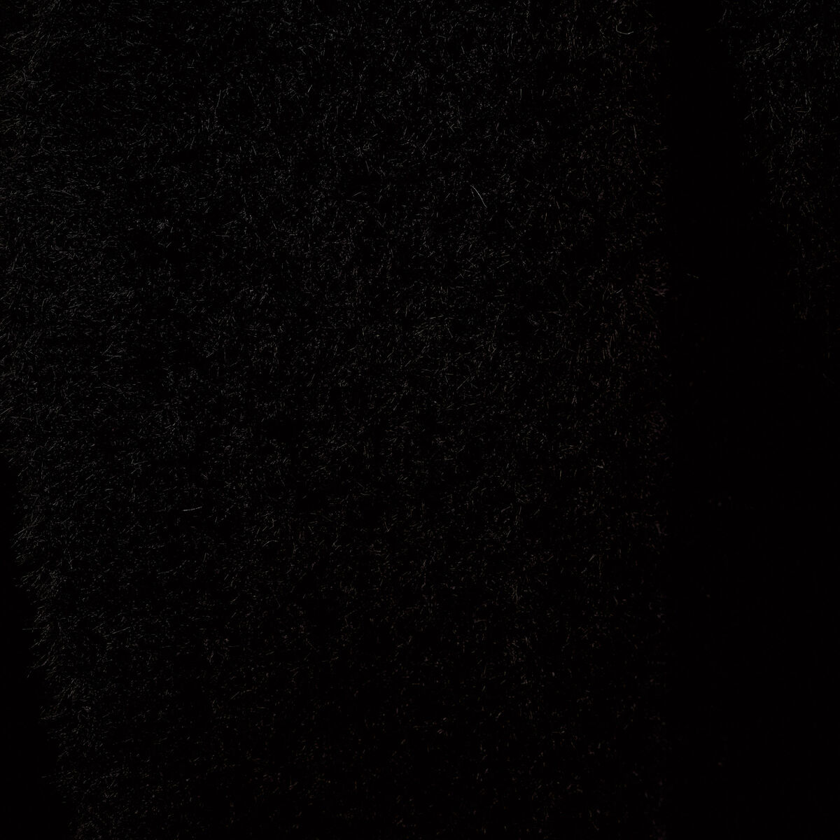 Gilet droit manches longues noir femme