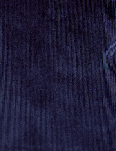 Robe droite velours col montant bleu marine femme