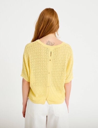 Pull ajour&eacute; col v manches courtes jaune pastel femme