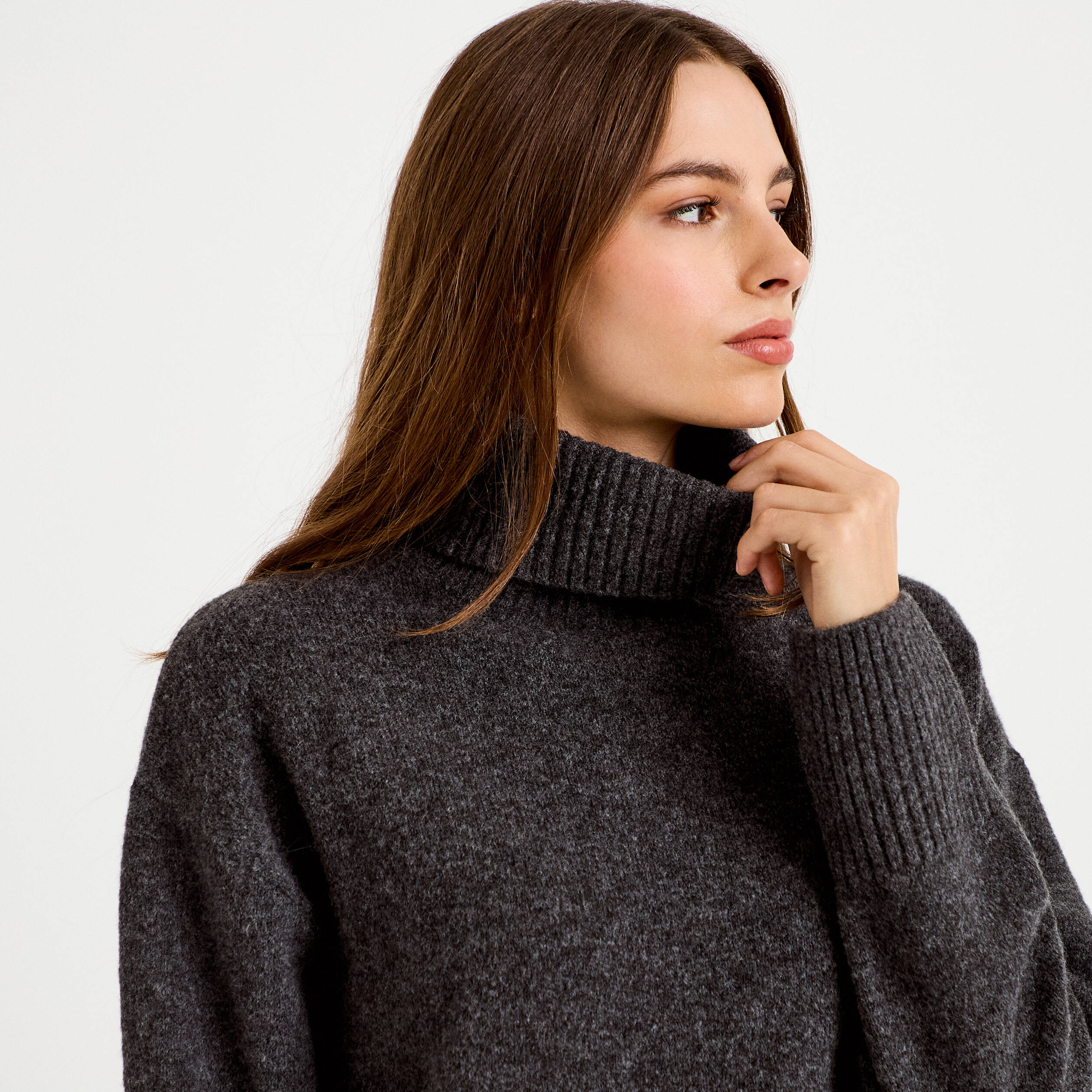 Pull col roul&eacute; manches longues gris femme